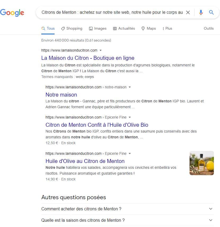 Copie écran recherche Google sur les citrons de Menton