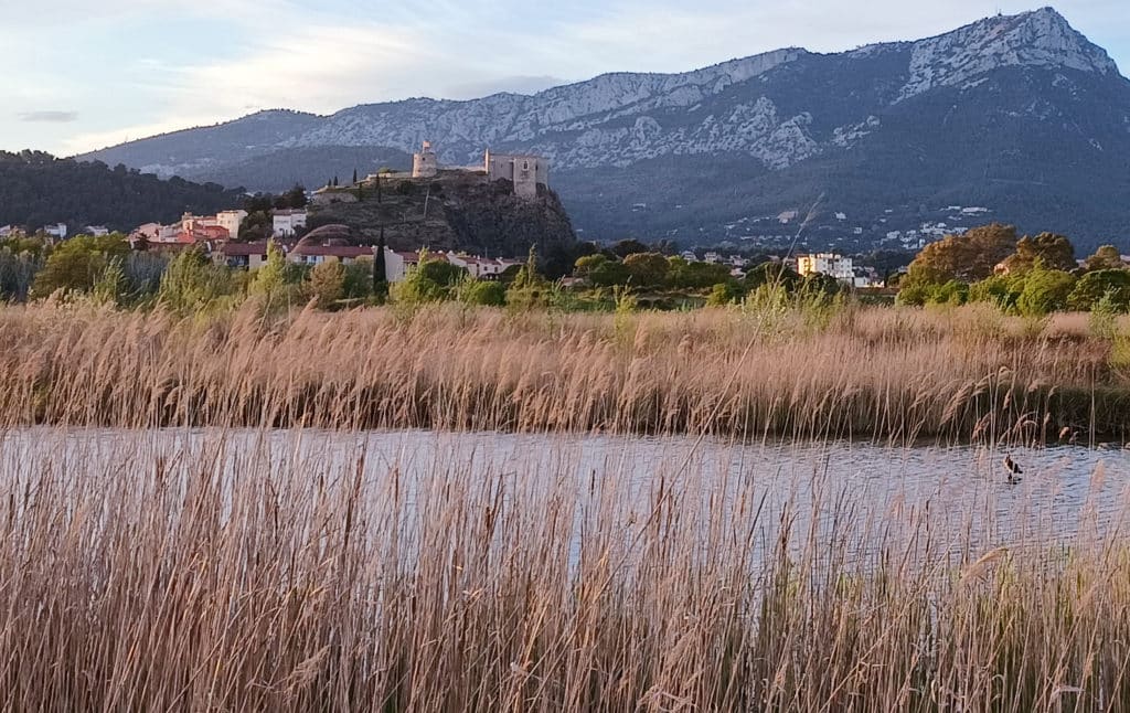 Un consultant SEO à Toulon, en visite au parc naturel de La Garde