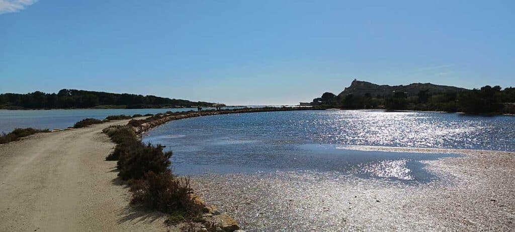 Lagune sur l'ile des Embiez. Cette zone sert de nurserie pour les alevins et autres espèces, certaines endémiques de cet archipel